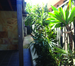 Zak-Building-Renovation17