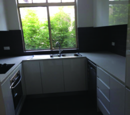 Zak-Building-Renovation24