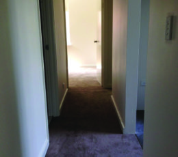 Zak-Building-Renovation26