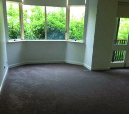 Zak-Building-Renovation27