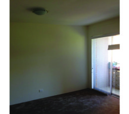 Zak-Building-Renovation33