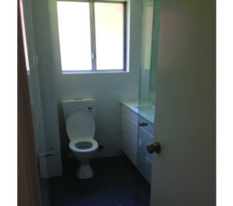 Zak-Building-Renovation35