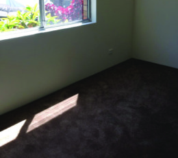 Zak-Building-Renovation41